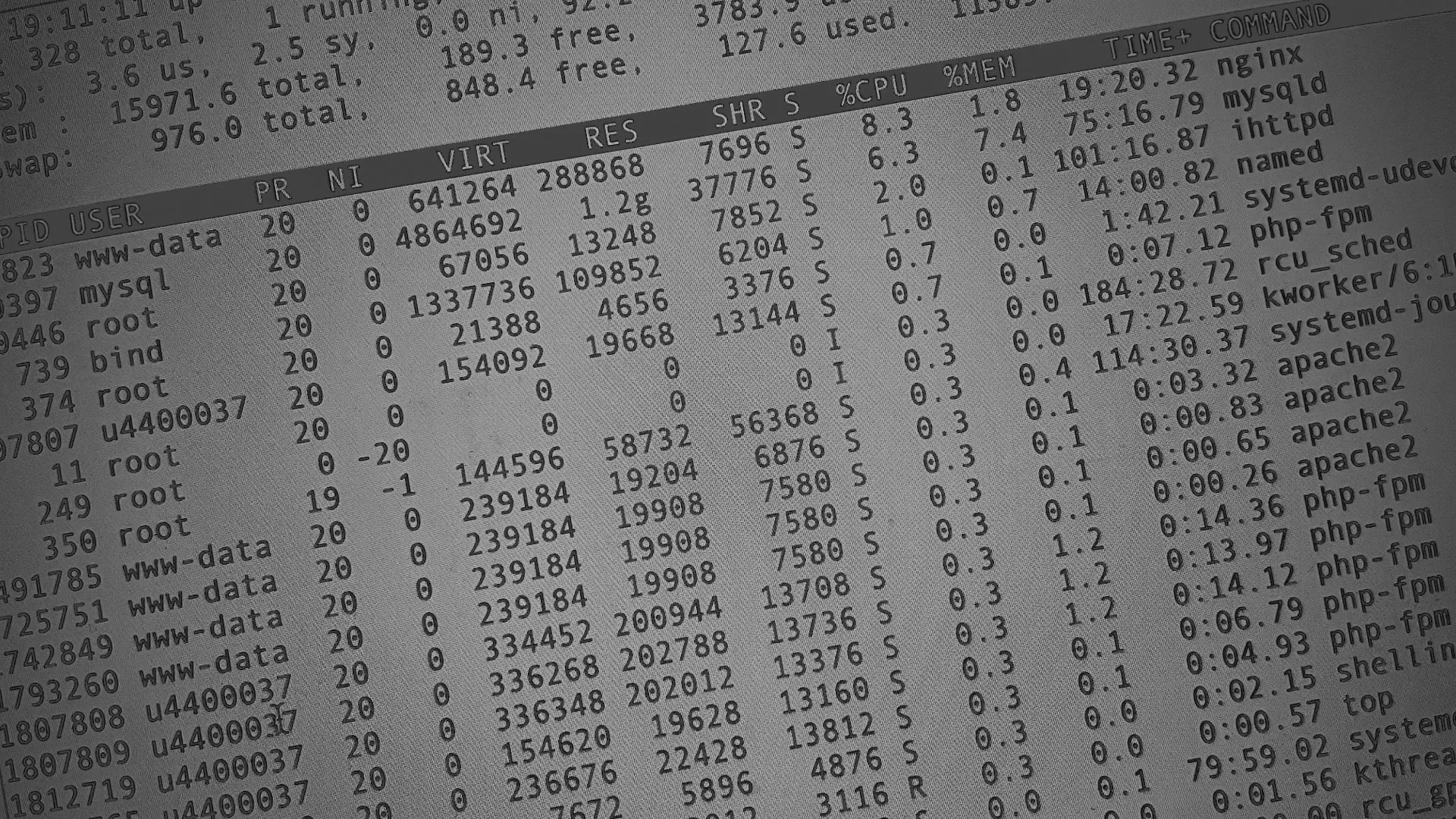 Настройка сервера в Георгиевске