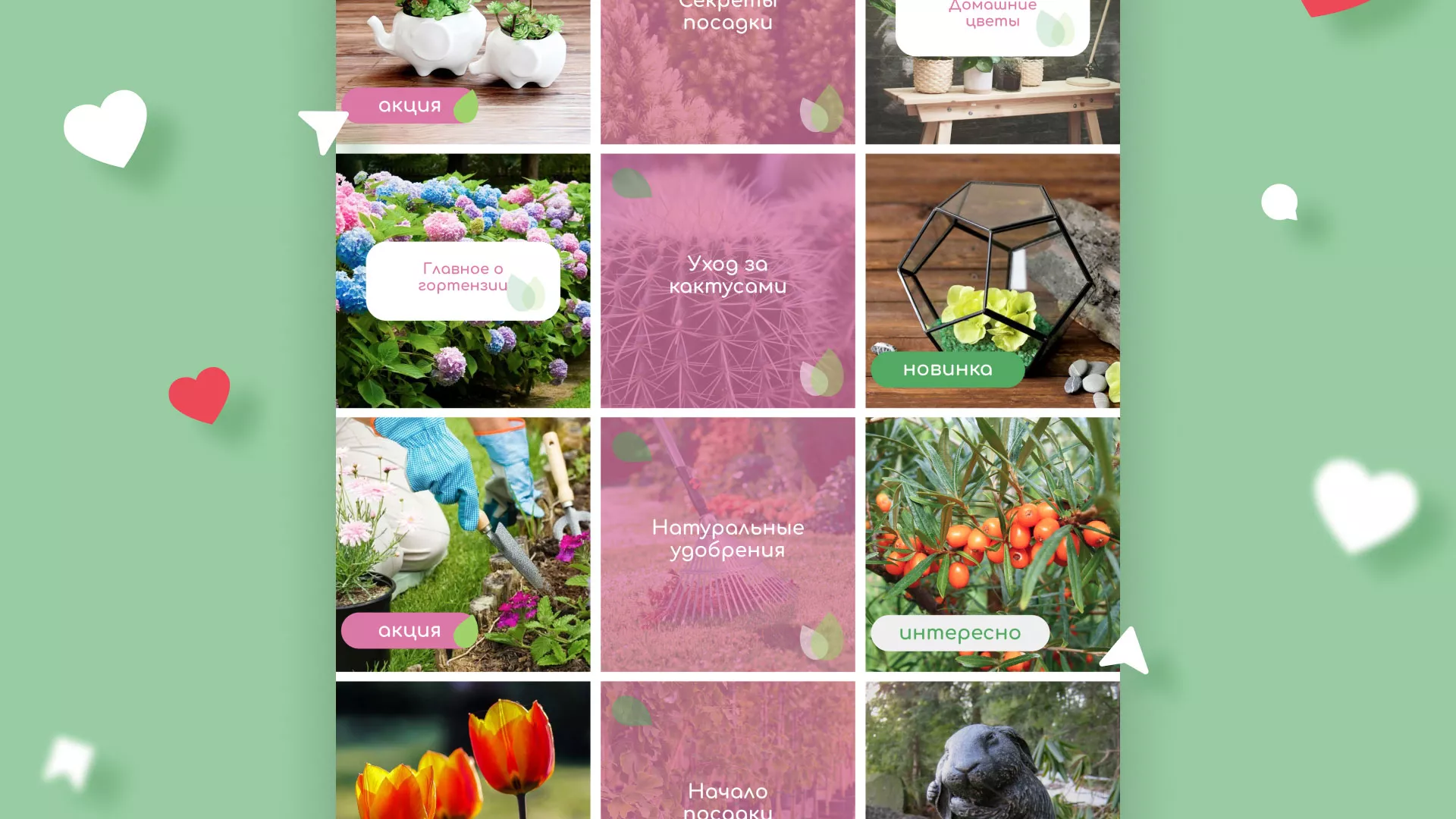 Разработка оформления профиля Instagram для магазина «Floraint» в Георгиевске