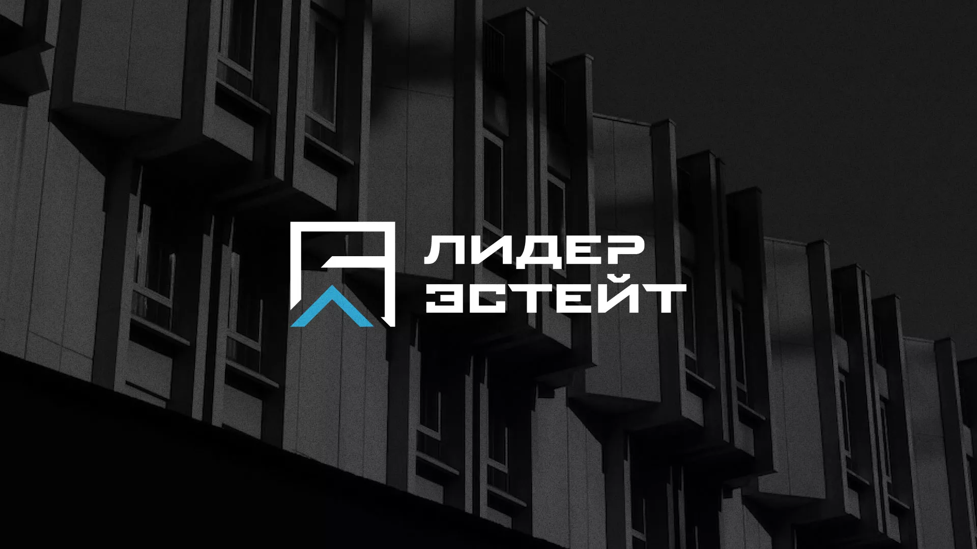 Разработка логотипа агентства недвижимости «Лидер Эстейт» в Георгиевске